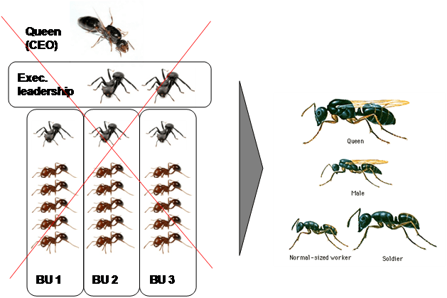 Ants Ants