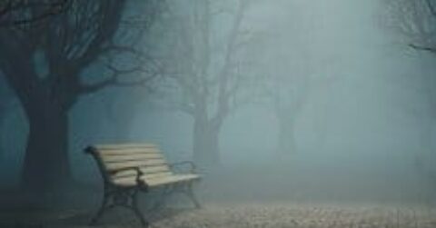 Lonely Bench in Misty Park