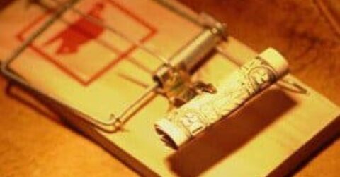 Mousetrap