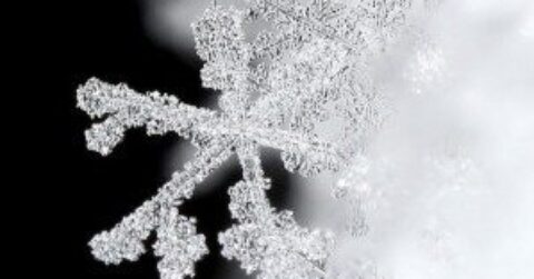 Snowflakes