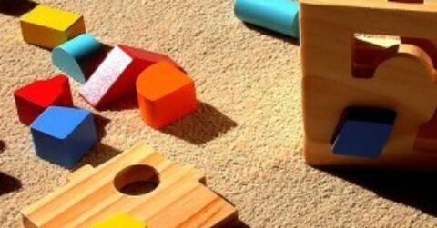 Shape Sorter