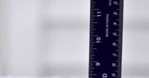 Ruler