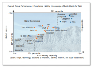 everest_group_assessment_Oct20151