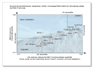 everest_group_assessment_Oct20152