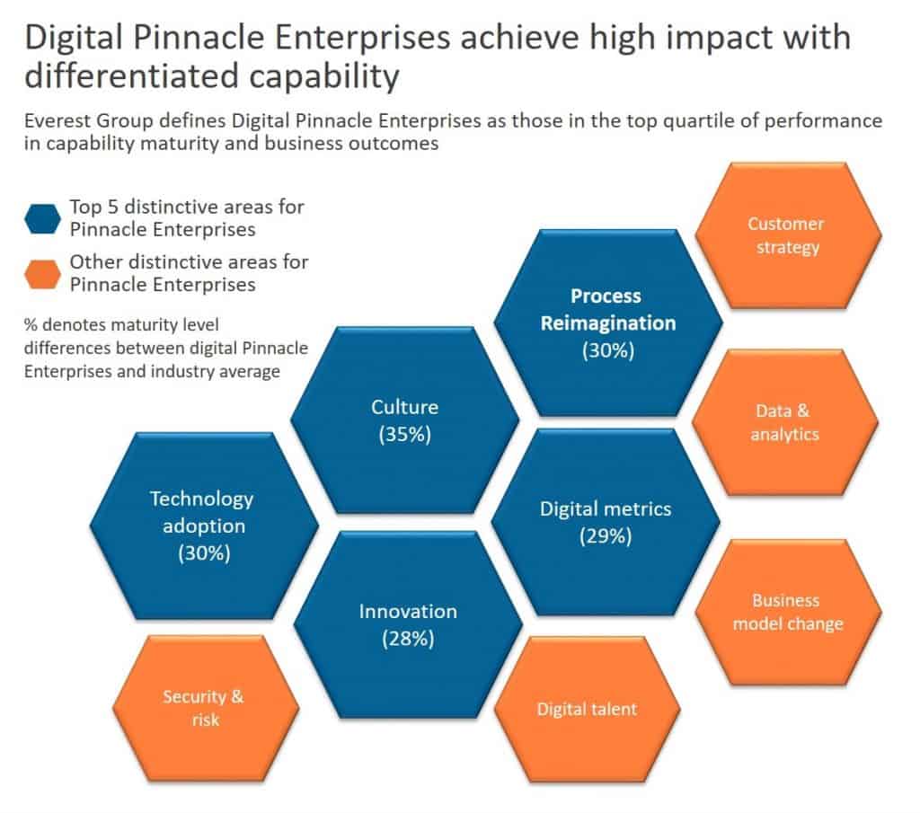 Digital pinnacle enterprise characteristics