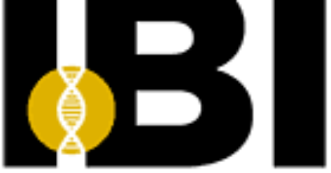 IBI-black-Small logo