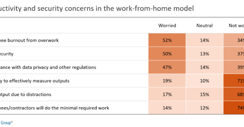 Productivity and security concerns in the work-from-home model