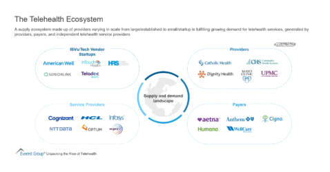 The Telehealth Ecosystem