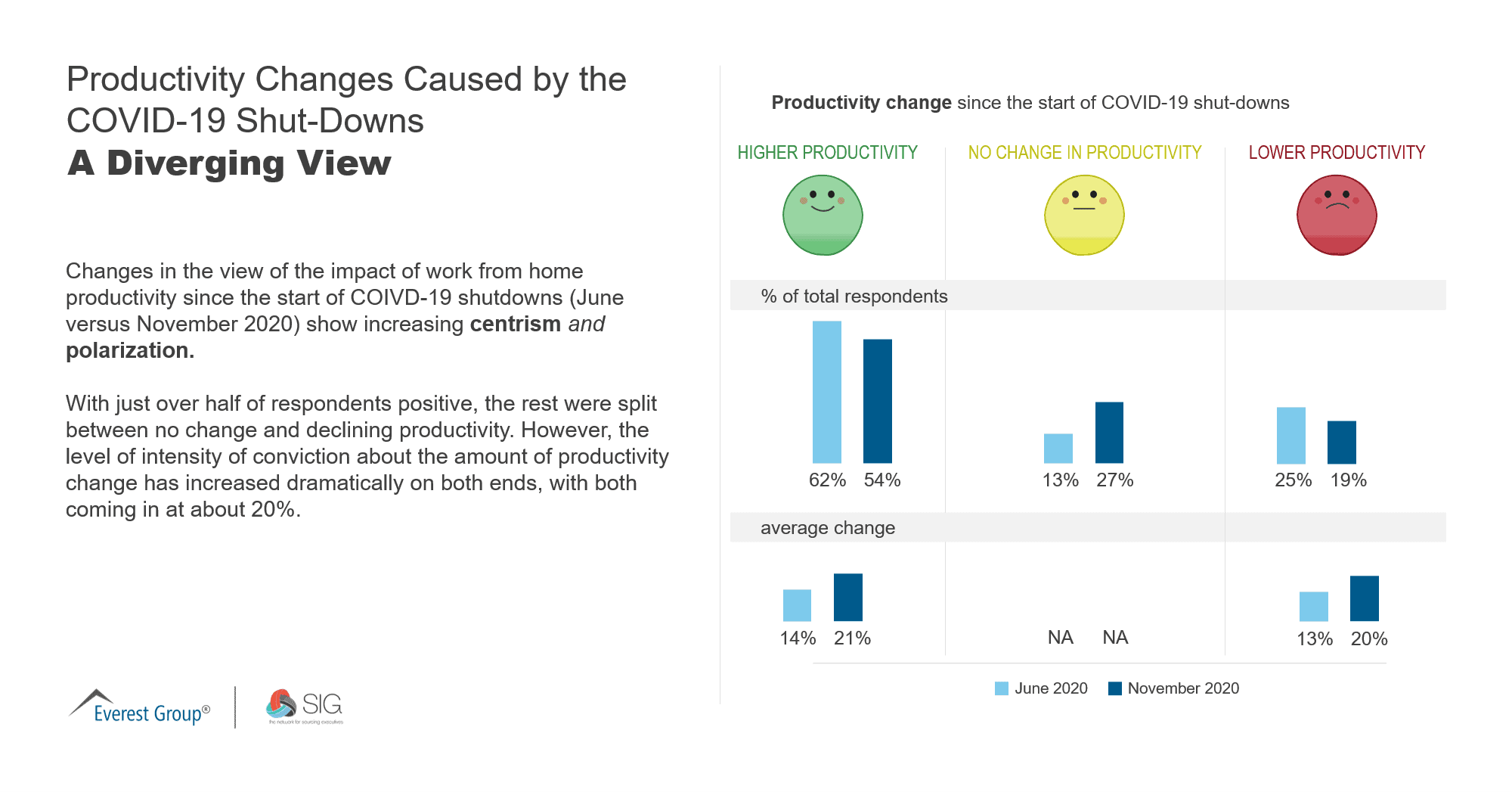 Productivity Changes Caused by COVID - A Diverging View