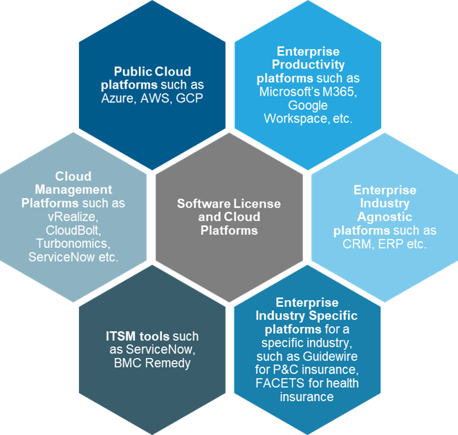 Software License Review