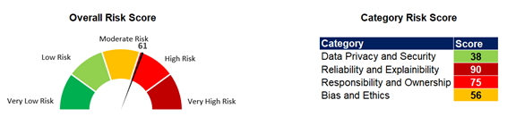 Figure 4: Generative AI risk assessment outcomes