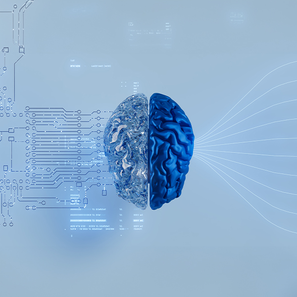 Artificial-Intelligence-Insights-Membership-image