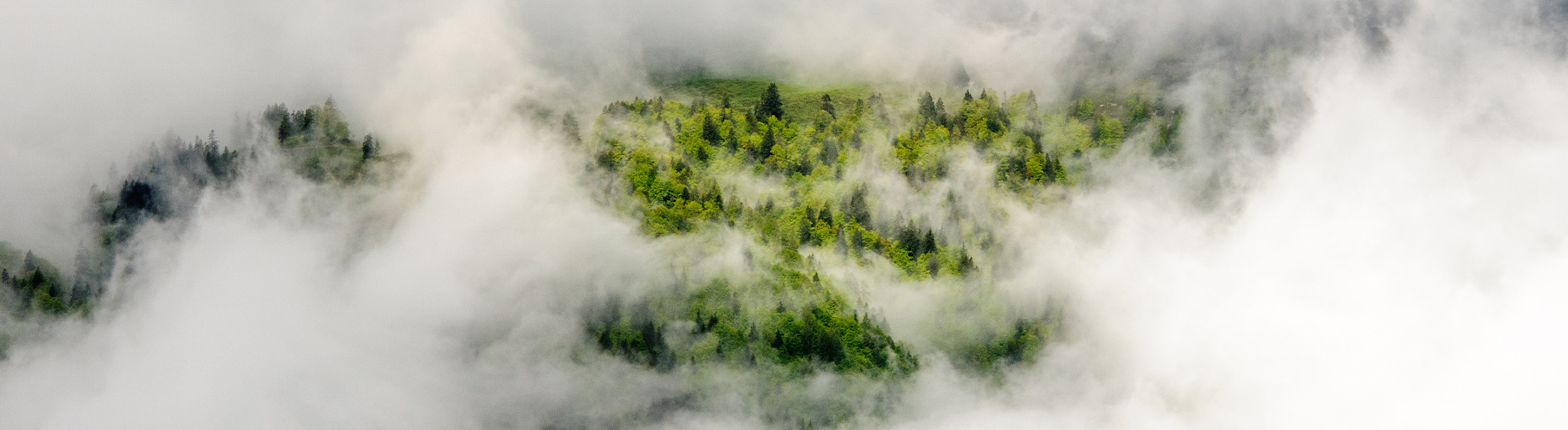 Green Information Technology