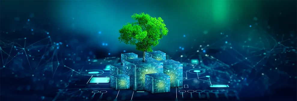 Sustainability Insights Page Header 989 X 337