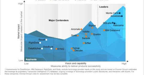 Data Observability Technology Provider PEAK Matrix® Assessment 2025
