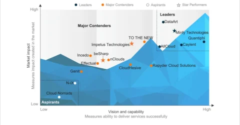 AWS Services Specialists PEAK Matrix® Assessment 2025​