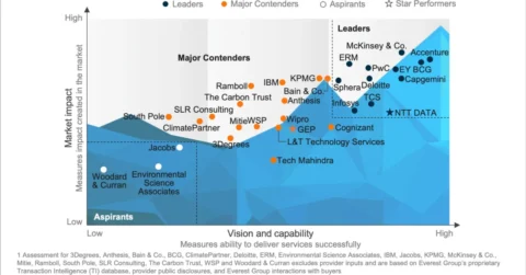 Net-Zero Consulting Services PEAK Matrix® Assessment 2025
