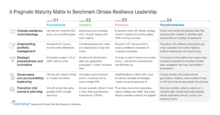 A_Pragmatic_Maturity_Matrix_to_Benchmark_Climate-Resilience_Leadership (1)