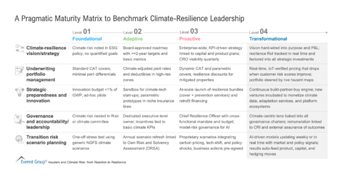 A_Pragmatic_Maturity_Matrix_to_Benchmark_Climate-Resilience_Leadership (1)