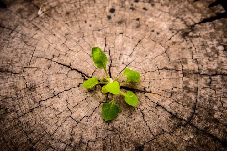 BPaaS business process as a service 453850813