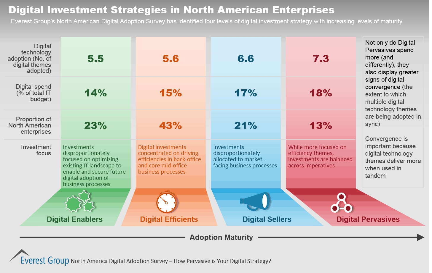 Dig Adop Invst Strat