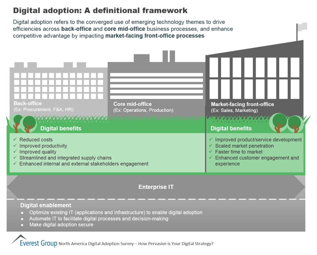 Dig Adptn Definition1