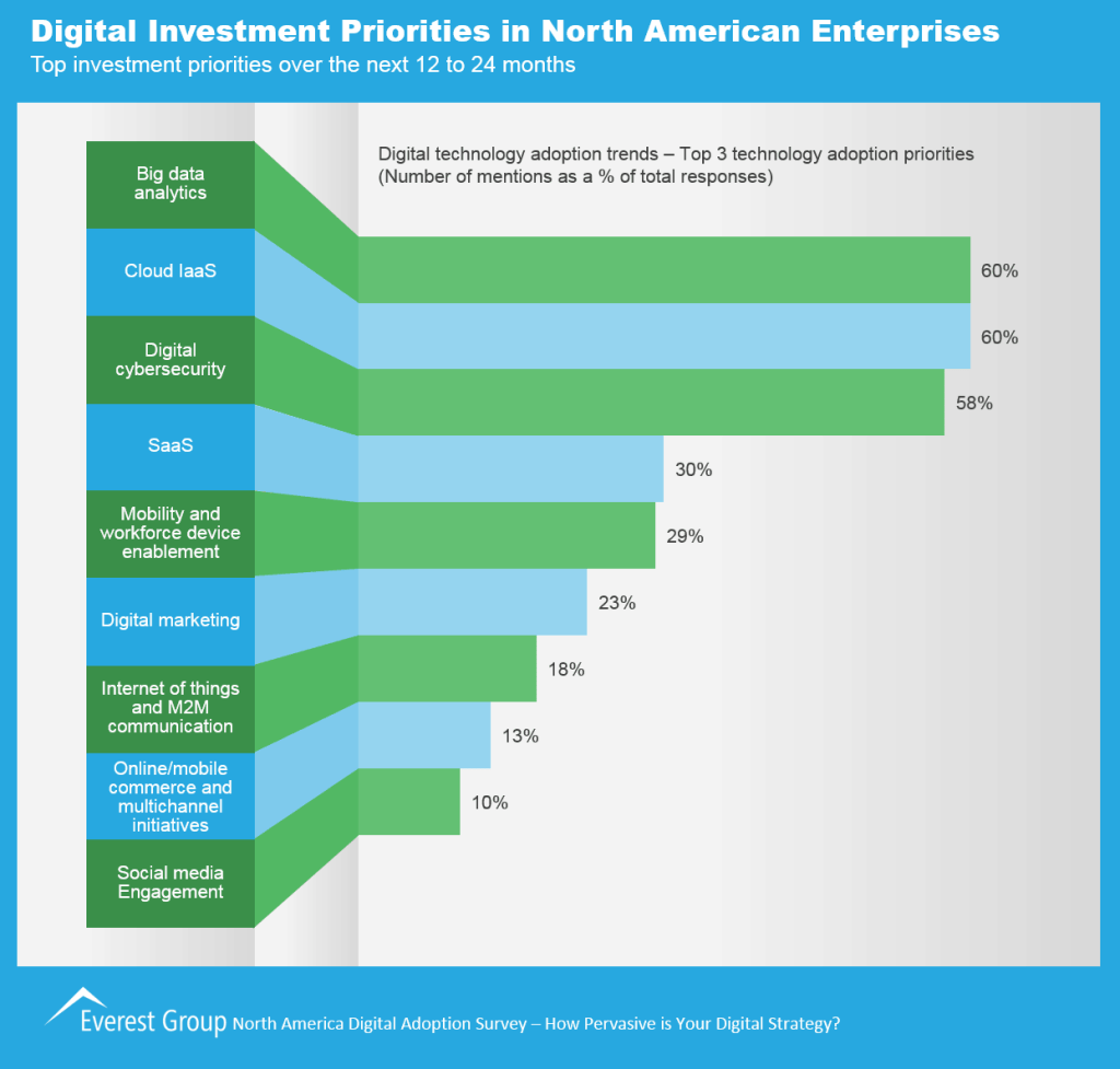 Dig Adptn Priorities