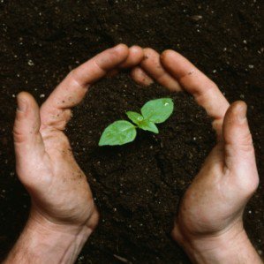 Growth2 e1415146738662