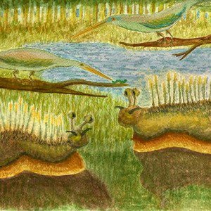 Jabberwocky e1432312797582