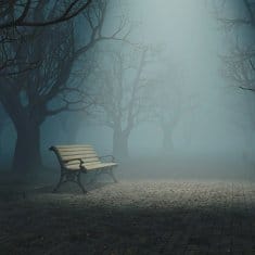 Lonely Bench in Misty Park cropped