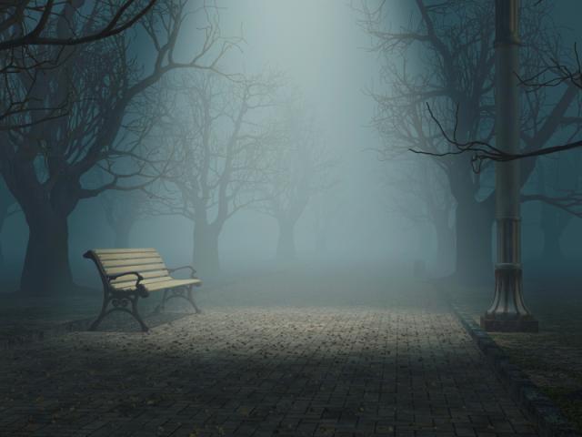 Lonely Bench in Misty Park jpg