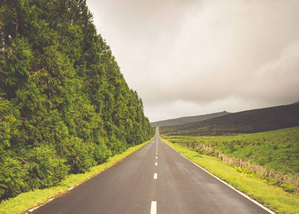 Pricing Drivers blog 517581184 scaled 1