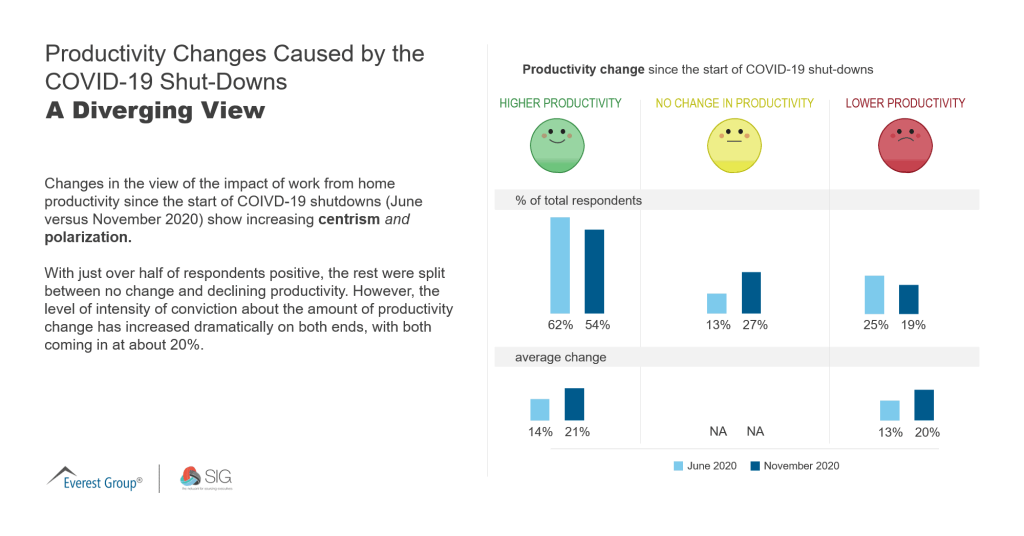 Productivity Changes Caused by COVID A Diverging View Dec 2020 1