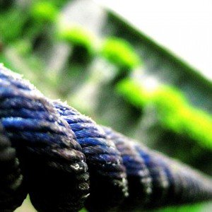 Rope tension e1436289830899