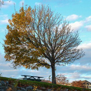 Season Change e1429627576770