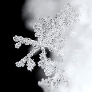 Snowflakes e1403641296969