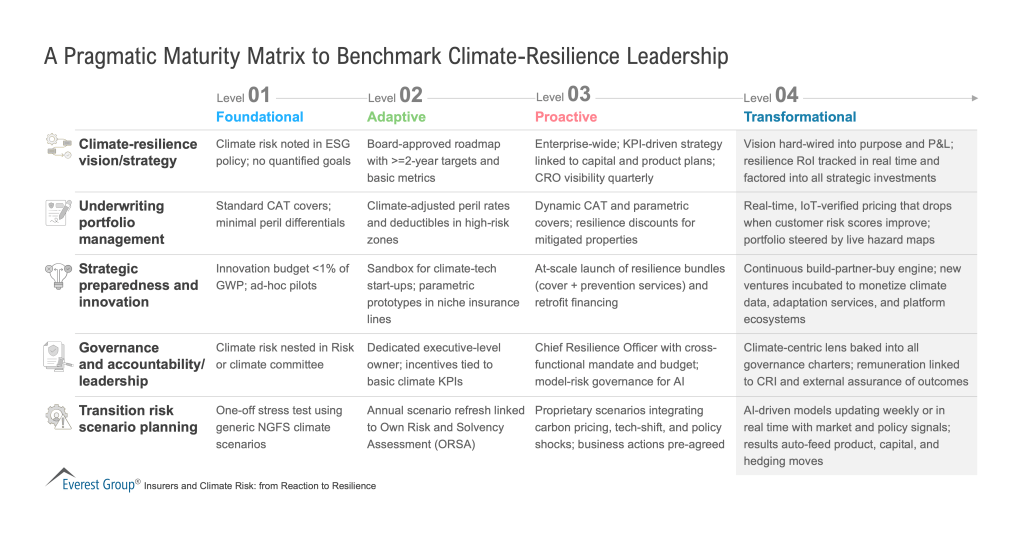 A Pragmatic Maturity Matrix to Benchmark Climate-Resilience Leadership